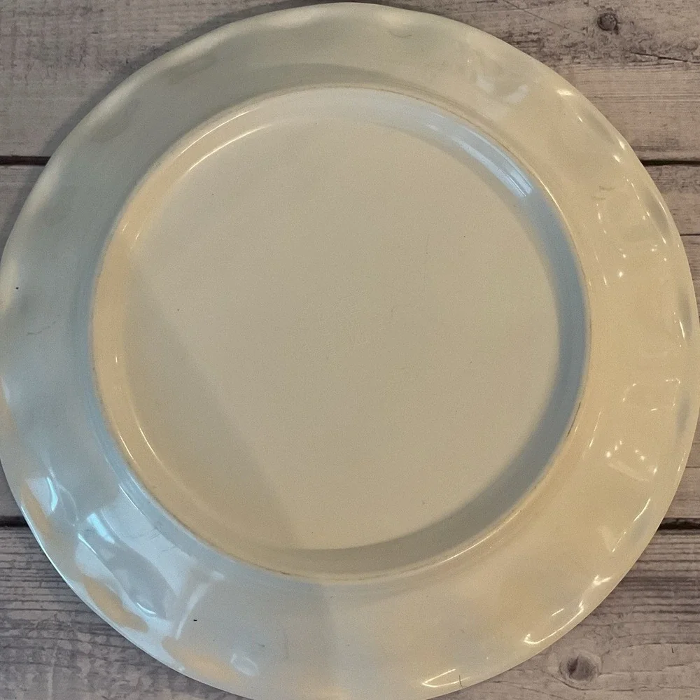Pottery Barn Del Sol Melamine Dinner Plates Mixed Patterns 10.25